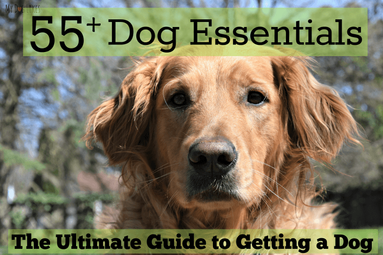 Getting a dog? Browse MyDogLikes Ultimate List of Dog Essentials!