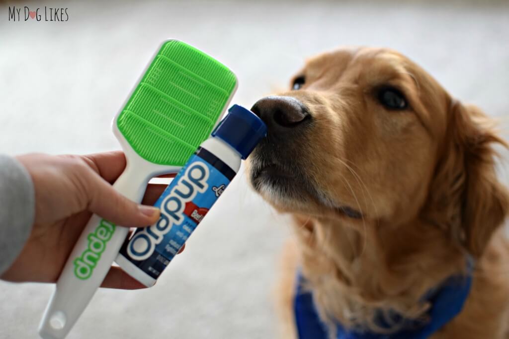 MyDogLikes reviews the Orapup tongue brush and Lickies enzyme solution