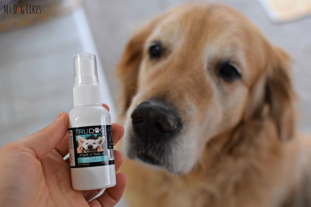 Trudog teeth clearance spray