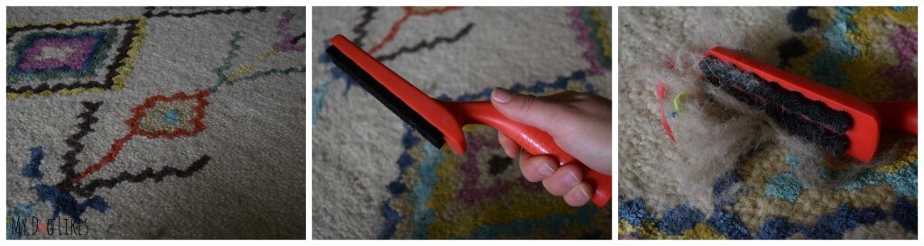 Testing the pet hair remover on a woven area rug