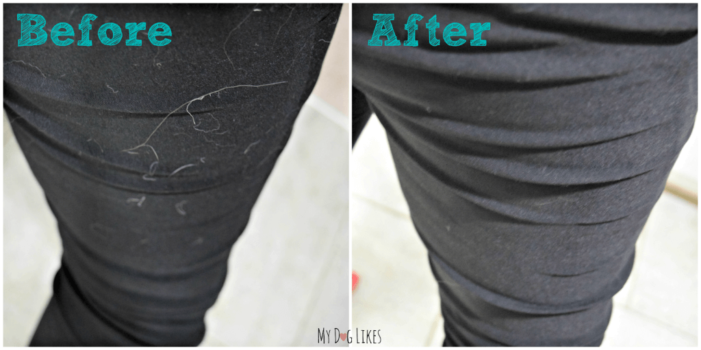 Testing the pet hair remover on a pair of black dress pants
