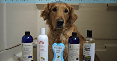 Don't miss our step by step instructions on how to bathe a dog.