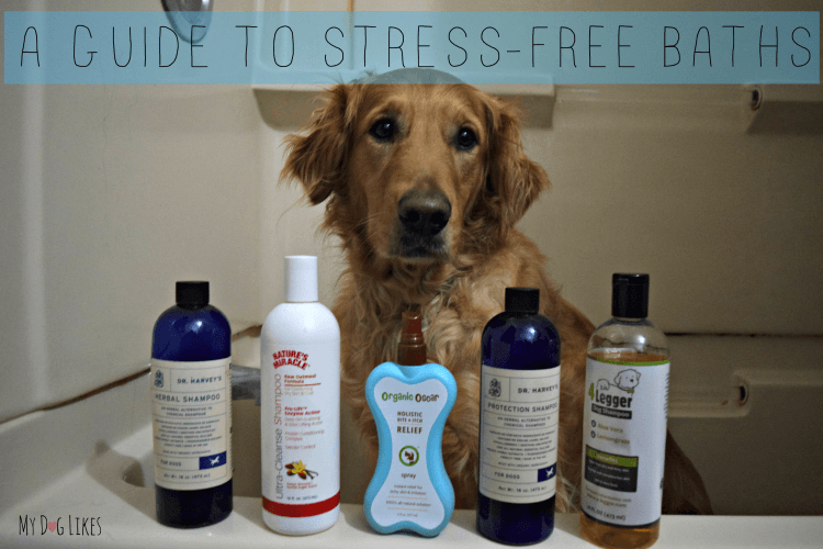 Don't miss our step by step instructions on how to bathe a dog.