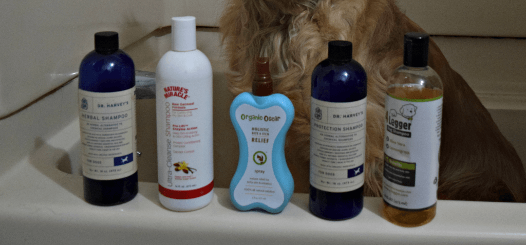 Choosing the best dog shampoo