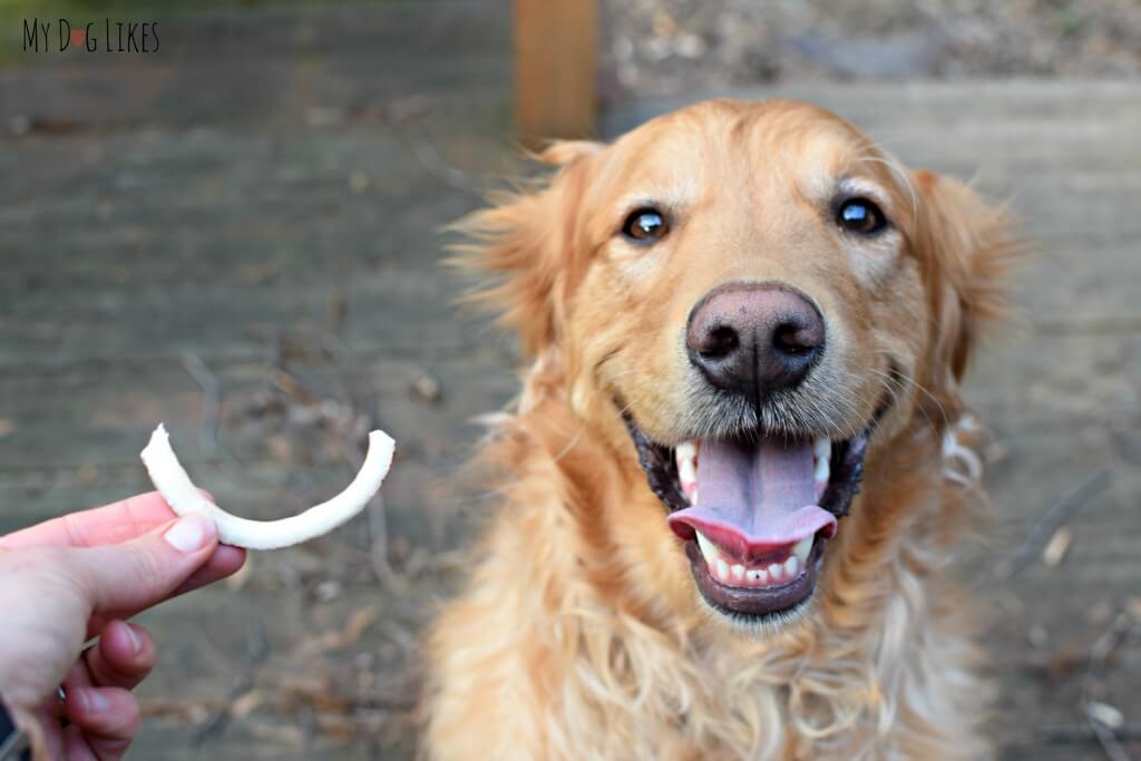 Coconut Smiles single ingredient dog treats