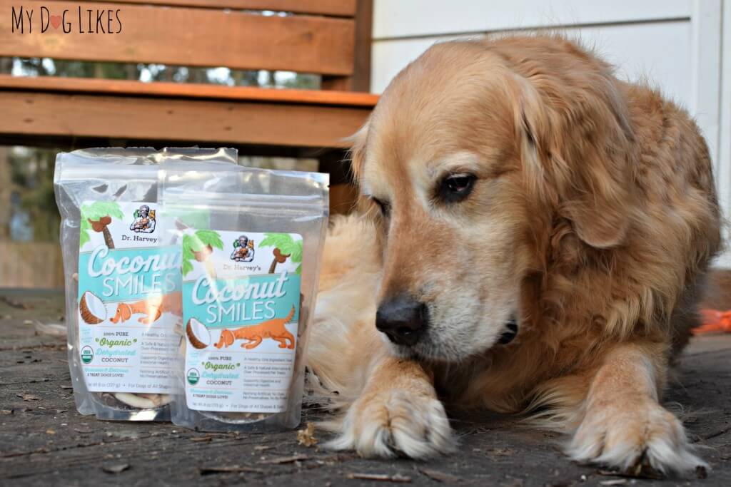 Harley always checks the ingredient label first! Are you aware of the benefits of coconut for dogs?