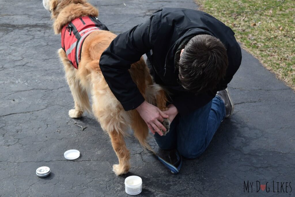 Applying dog wax to Harley's back paws.