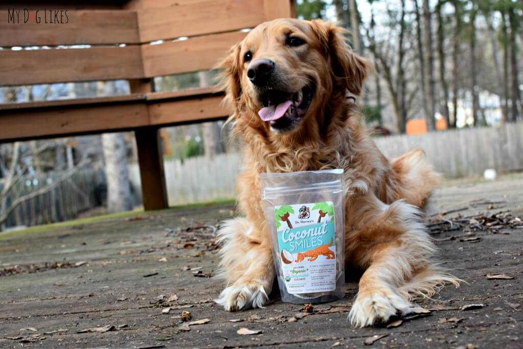 Charlie is excited to taste test Dr. Harvey's Coconut Smiles