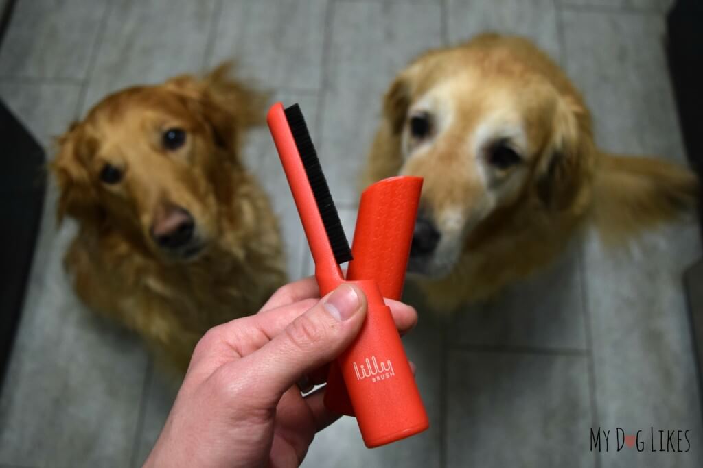 The Be Forever Furless brush from Lilly Brush - Perfect for helping busy pet parents look professional! 
