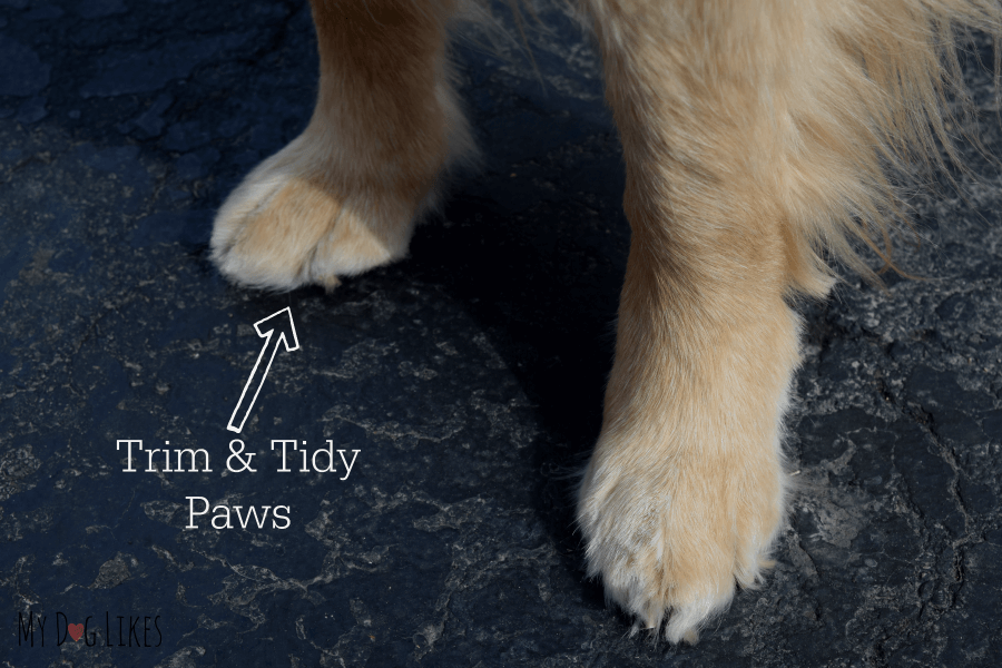 Keeping your dogs paws nice and trim will make application of paw wax much easier and help prevent buildup of snow and ice.