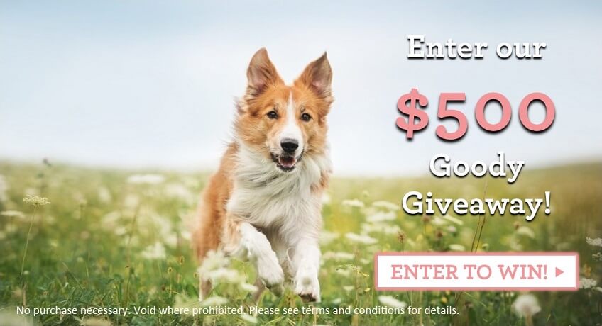 Yuppy Puppy City Kitty $500 Giveaway - Enter to win throughout the month of April, 2016!