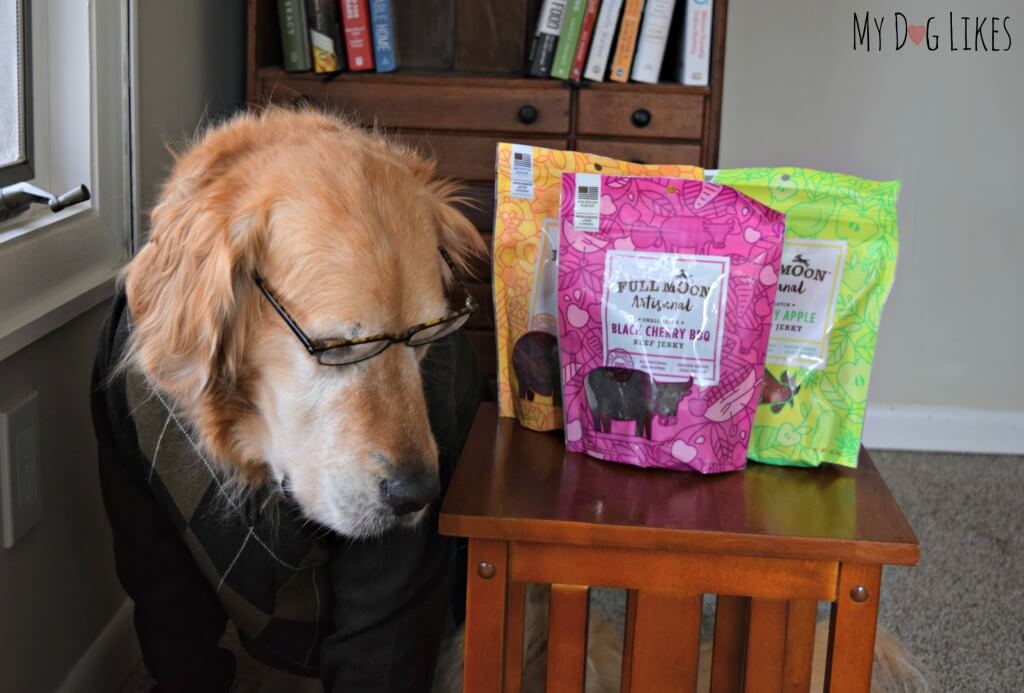 Harley examining the ingredients for our Full Moon Dog Treat Review