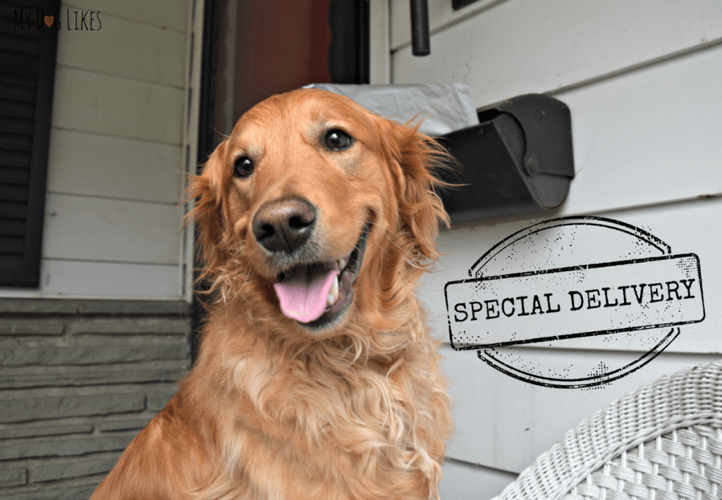Looks like Charlie has a special delivery in the mail!