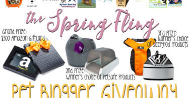 Spring Fling Pet Blogger Giveaway Banner