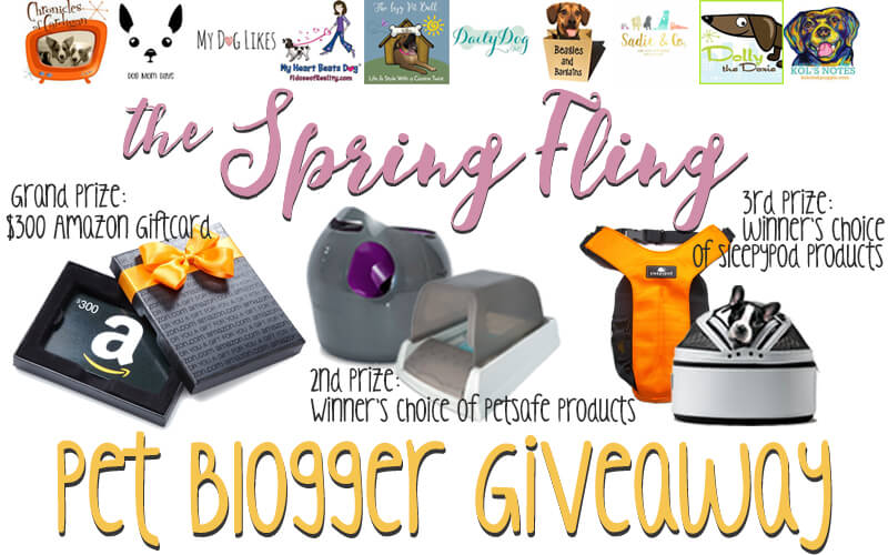 Spring Fling Pet Blogger Giveaway Banner
