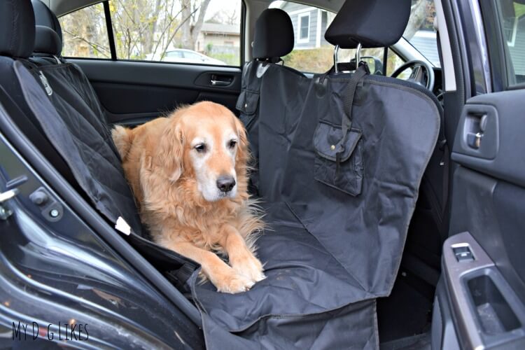Travelingpaws Pet Car Seat Cover Review from MyDogLikes. Visit our site to see how it stacks up against the competition!