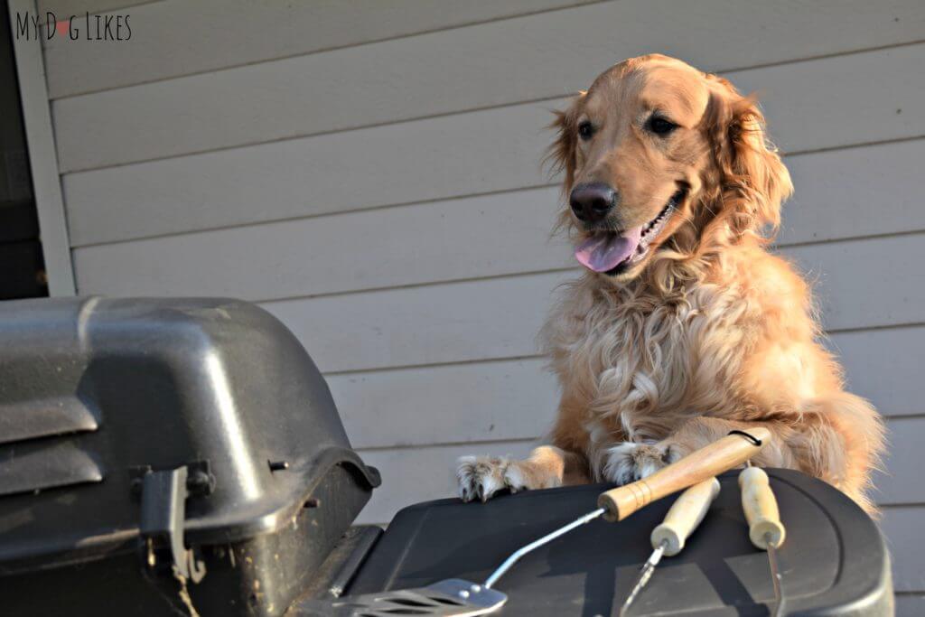 Charlie ready to cook up some BBQ!