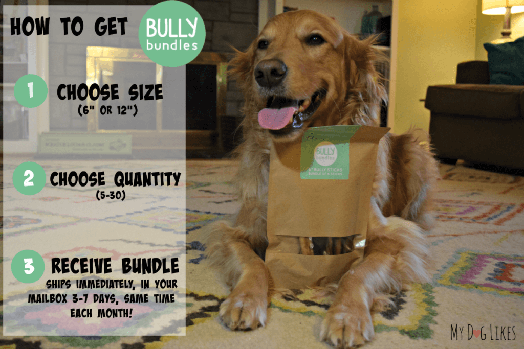 How to order Bully Bundles - a subscription based Bully Stick delivery service