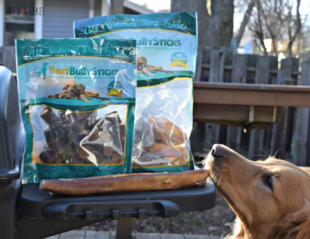 Single ingredient treats and chews from Best Bully Sticks