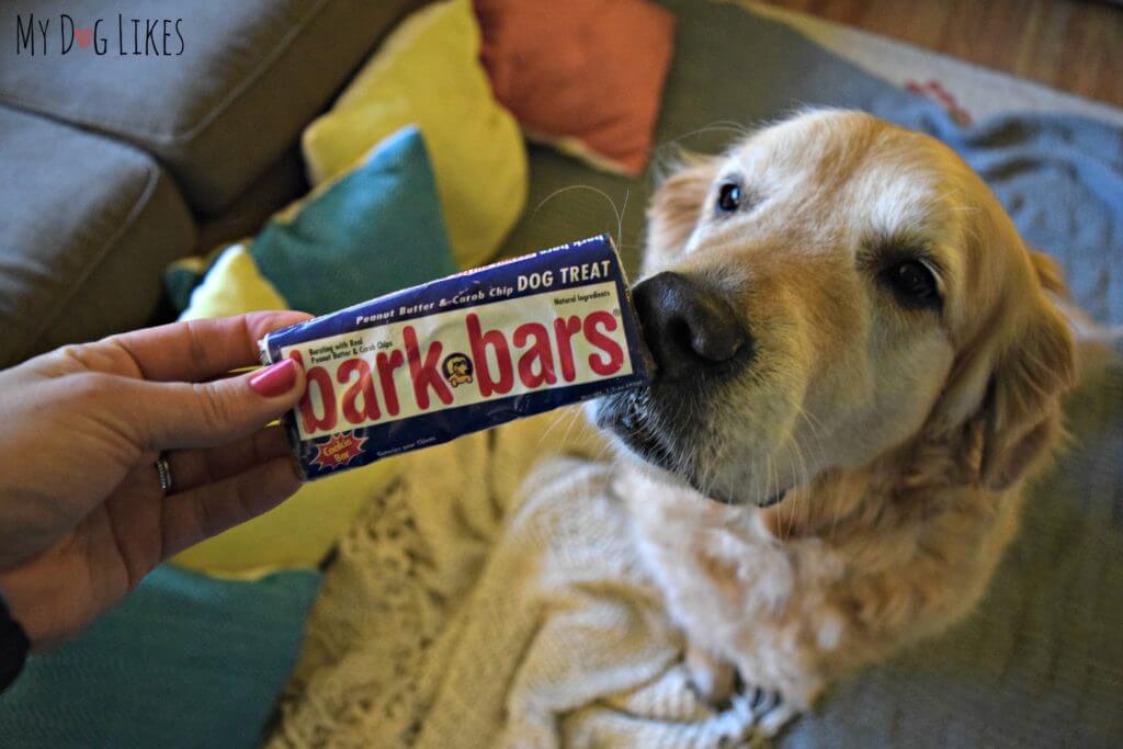 Bark Bars candy bar for dogs - peanut butter and carob chip cookie flavor!