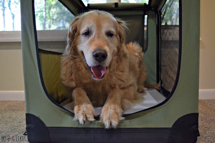 The Chillspot is a great option for those searching for a cooling pad for large dogs. 