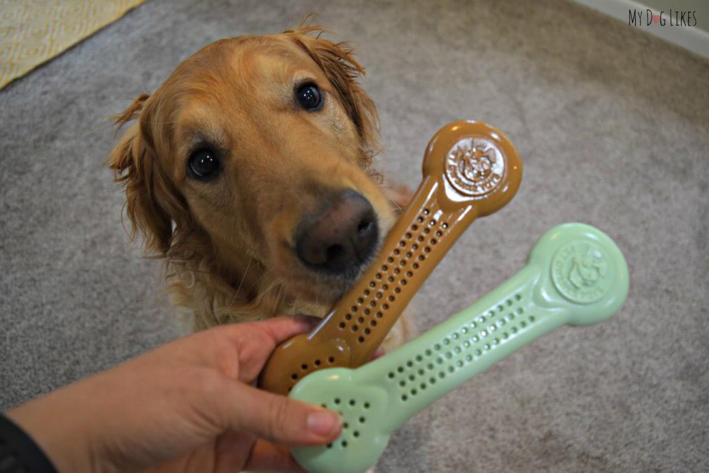 Non-Edible dog chews are softer than bones and antlers and a great option for tough chewers 
