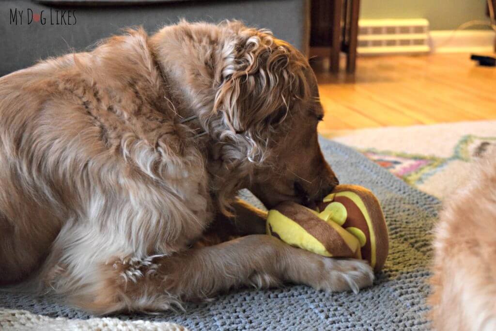 Fun Interactive Dog Toy that separates with velcro