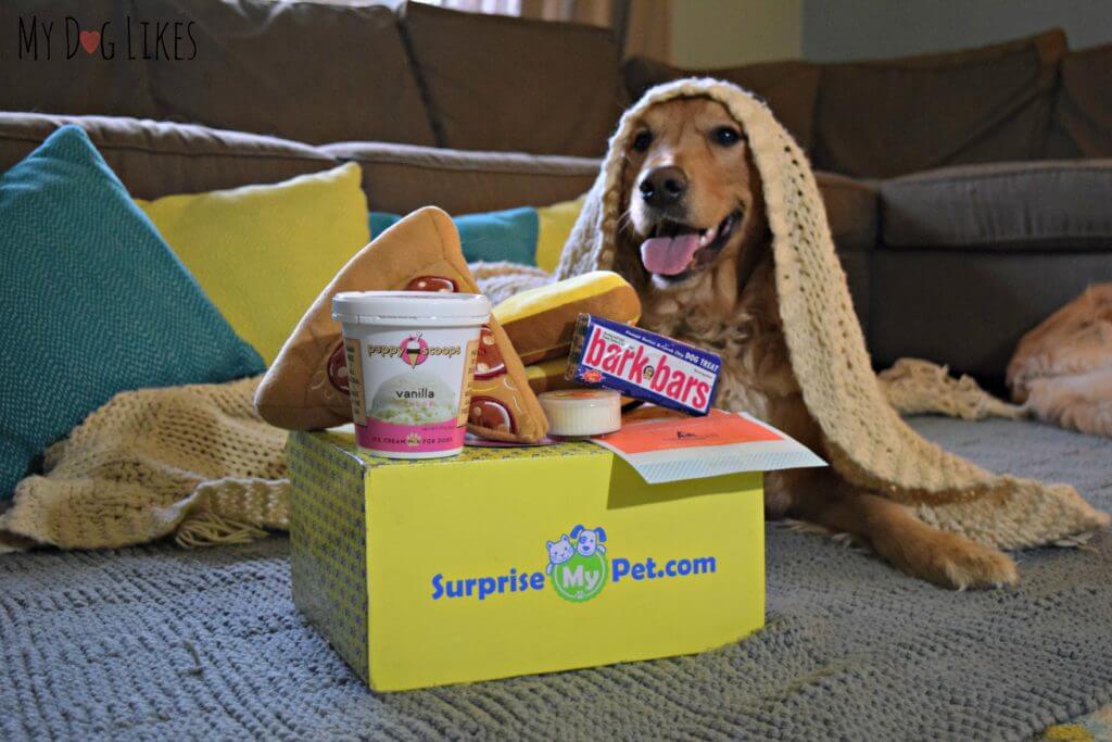 Movie night with our Surprise My Pet subscription box for dogs!
