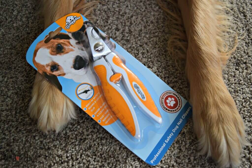 Trimming a Dog s Nails with Wagglies Dog Nail Clippers