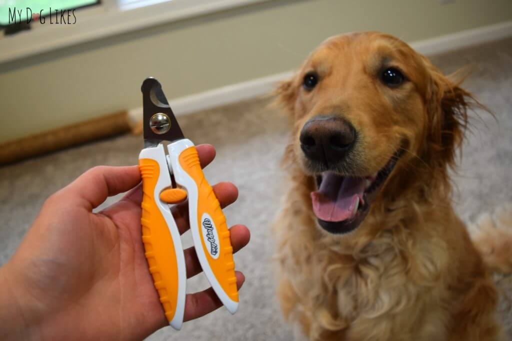 Showing off the comfort grip of these Professional Dog Nail Trimmers