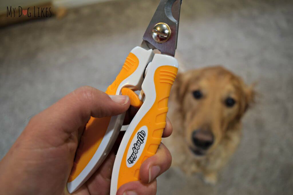 Wagglies clippers have a built in Locking Mechanism to keep them closed when not in use