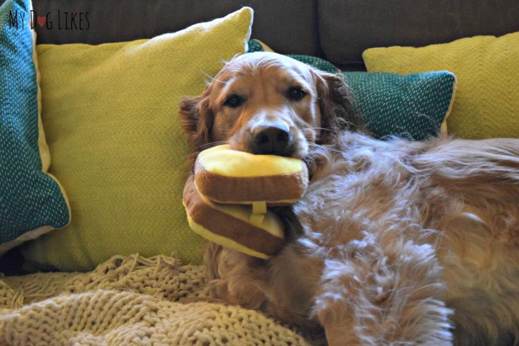 Charlie relaxing with his Peanut Butter and Banana sandwich dog toy