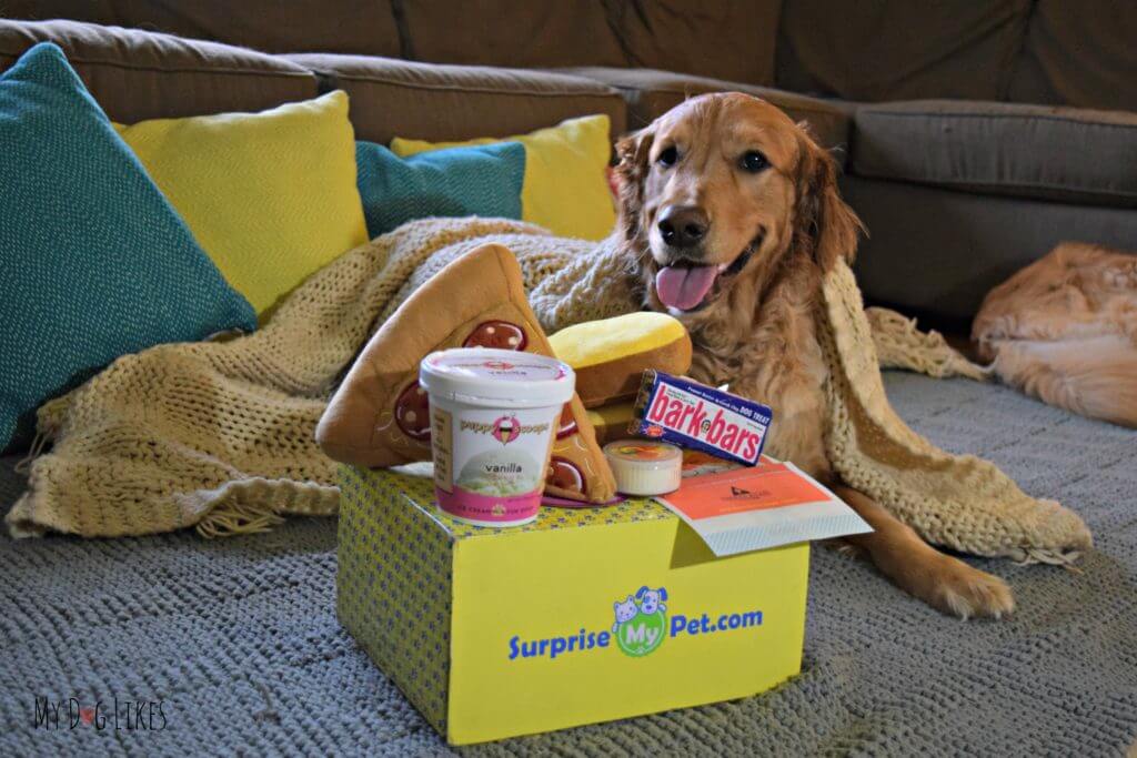 Visit MyDogLikes for pet subscription box reviews