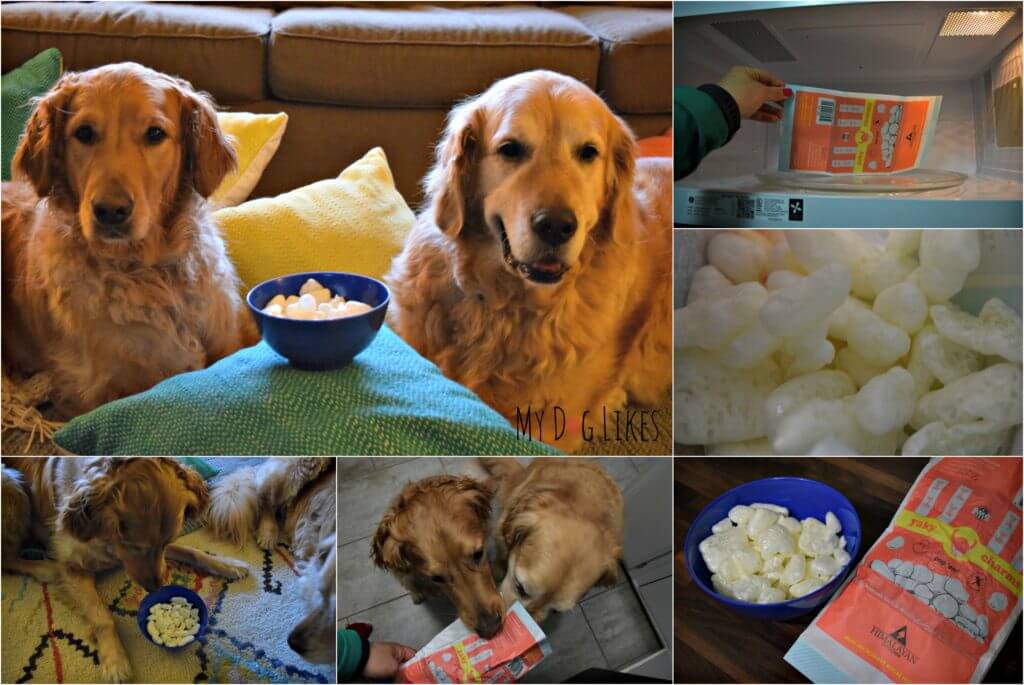 Preparing and enjoying Yaky Charms from Himalayan Dog Chews!