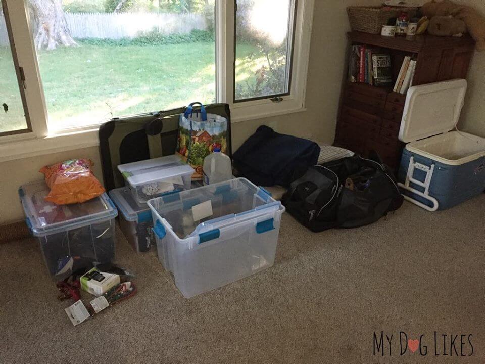 Packing for a road trip- Visit MyDogLikes to see what to bring along when traveling with dogs!