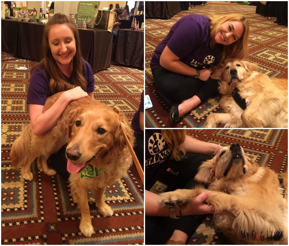 Hamming it up for some extra lovin' at BlogPaws