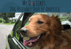 Follow along on the MyDogLikes 2016 Dog Friendly Tour of America