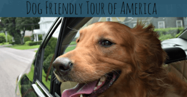 Follow along on the MyDogLikes 2016 Dog Friendly Tour of America