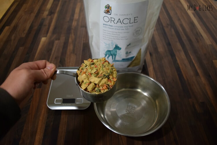 Scooping out some freeze dried dog food from Dr. Harvey's - part of their Oracle line.
