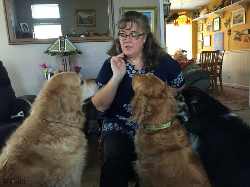 Our dogs sitting for some Jones Treats from our blogging friend Flea!