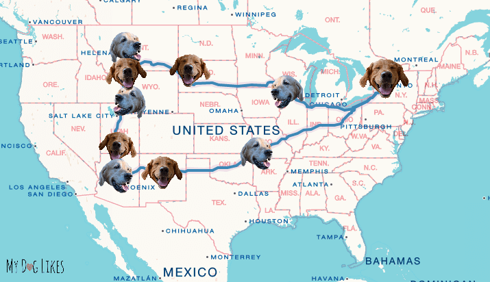 The road trip outline for MyDogLikes Dog Friendly Tour of America - 2016