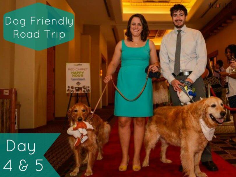 Road Trip Days 4 & 5 - BlogPaws Conference
