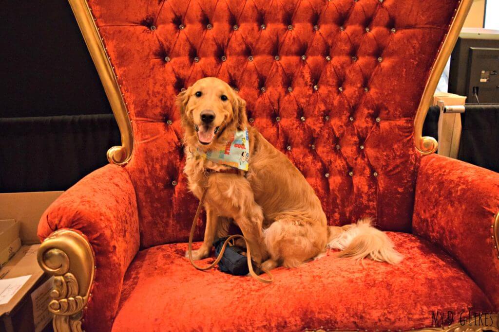 King Charlie on his throne (courtesy of the Merrick crew)!