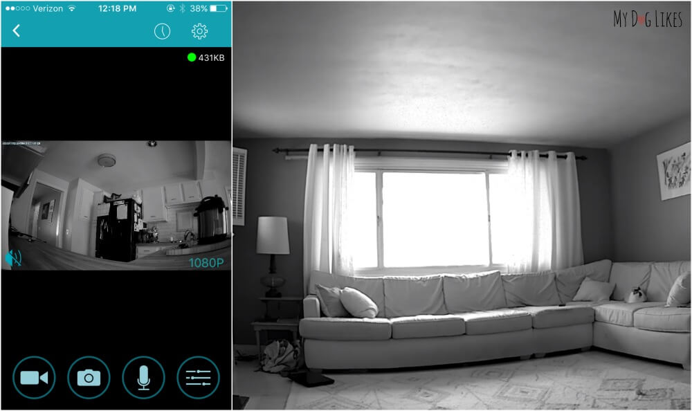 Vimtag App screenshot and live camera view - capable of 4X digital zoom!