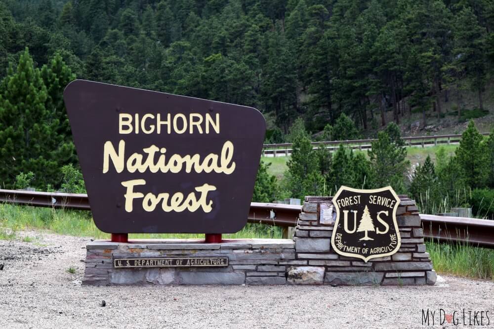 Entering Bighorn National Forest in Central Wyoming