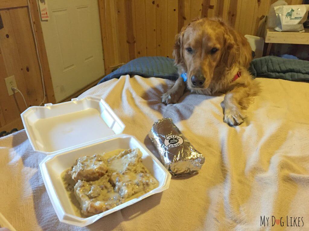 Breakfast burrito and biscuits and gravy from the Coffee Cabin in Alpine, WY.