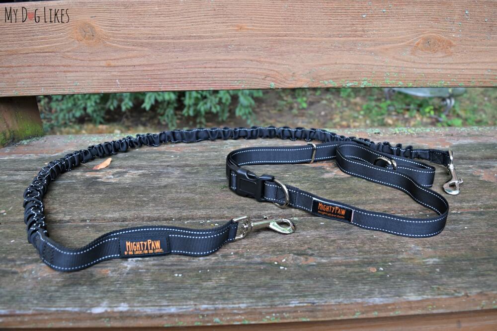 Bungee Dog Leash for walking or running your dog hands-free!