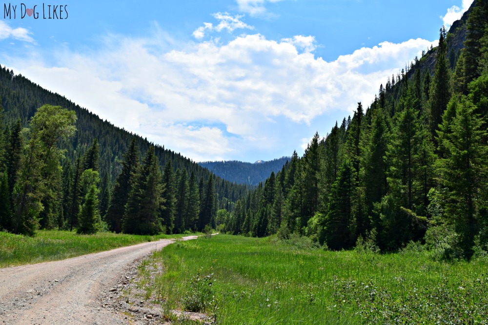 Heading up Forest Road 10001 (along Squaw Creek) in Alpine, WY.