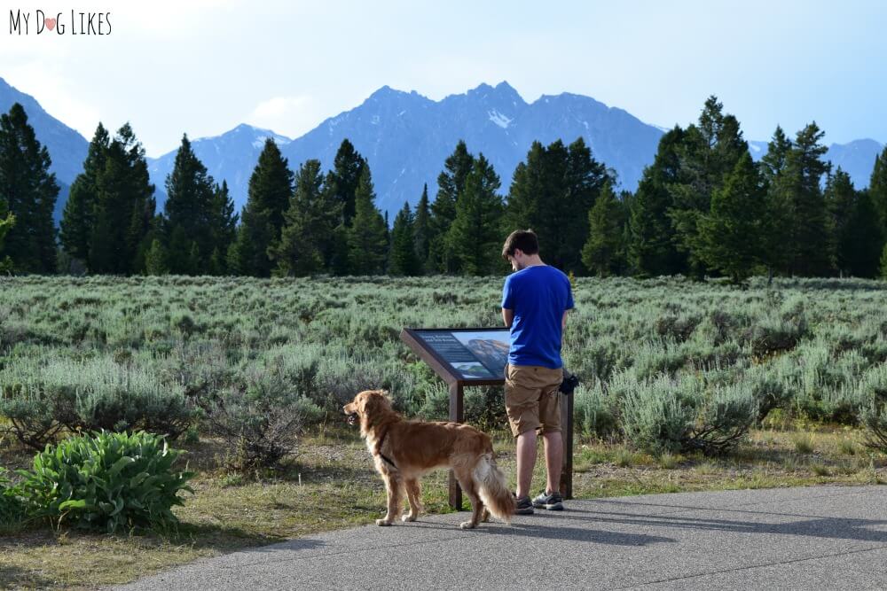 Visiting Grand Teton National Park with our Dogs