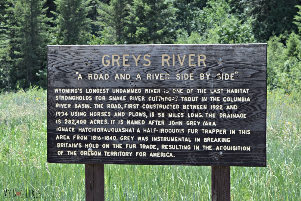 Heading down Grey's River Road for some hiking and swimming in Bridger-Teton National Forest